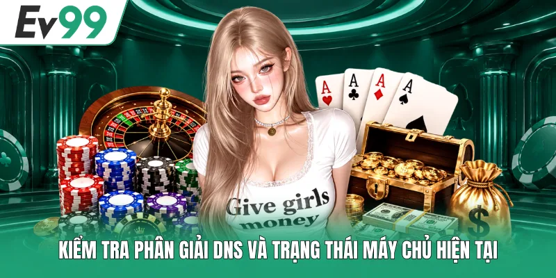 Kiểm tra phân giải DNS và trạng thái máy chủ hiện tại