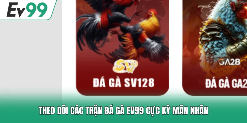 Theo dõi các trận đá gà EV99 cực kỳ mãn nhãn